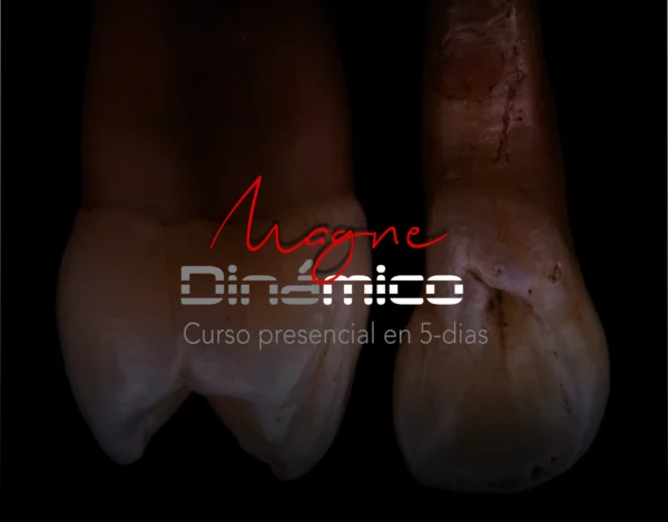 Magne Dinamico (April 14-18, 2025)
