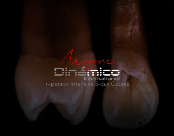 Magne Dinamico International (October 14-18, 2025)